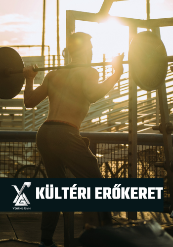 VIKING GYM VÁC funkcionális_edzőterem_ VÁC SZŐDLIGET SZŐD GÖD_kültéri_erőkeret (2)
